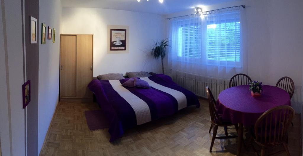 Apartment Pohorje Marburgo Esterno foto